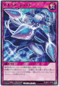 �V�Y�����b�V���f���G�� RD�^B001-JP005 �A�L���A�E�V���b�g�y�m�[�}���d�l�z
