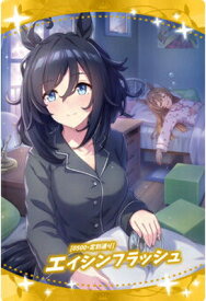 W1-22 [0500・定刻通り] エイシンフラッシュ ウマ娘 プリティーダービー ツインウエハース