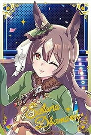 W6-29 サトノダイヤモンド ウマ娘 プリティーダービー ツインウエハース 第6R