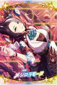 W7-15 [W]W[k E} veB[_[r[ cCEGn[X 7R