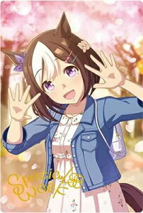 W7-29 XyVEB[N E} veB[_[r[ cCEGn[X 7R