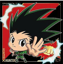 にふぉるめーしょん HUNTER×HUNTER シール×ウエハースvol.5 HH5-17 ゴン R