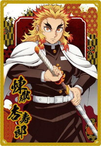 Sł̐nEGn[X10 W10-13 ǎY N