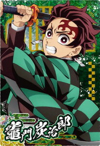 Sł̐nEGn[X10 W10-25 }YY SR