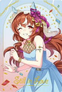 E} veB[_[r[ cCEGn[X Special R 2025 WSR2-02 XeBCu WSR