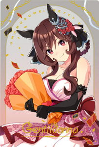 WSR2-06 WFeBhi WSR E} veB[_[r[ cCEGn[X Special R 2025