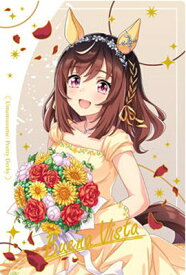 WSR2-10 ブエナビスタ WSR ウマ娘 プリティーダービー ツインウエハース Special R 2025