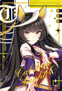 WSR2-30 JXgCgI R E} veB[_[r[ cCEGn[X Special R 2025