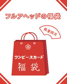 【楽天スーパーSALE】【6/4 20時発売開始】ワンピースカード福袋/10,000円