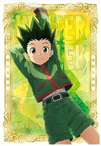 C^WK HUNTER×HUNTER 21.SP S yFz