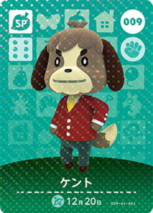 �ǂ��Ԃ̐Xamiibo�J�[�h 009 �P���g