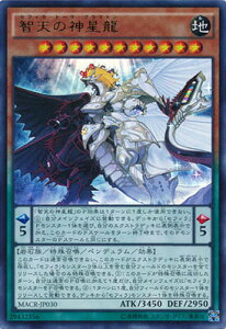 �V�Y�� ��9�� 12�e MACR-JP030UR�@�q�V�̐_�����y�E���g�����A�z