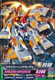 楽天市場 トライエイジ トライバーニングの通販