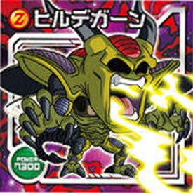 楽天市場 ヒルデガーンの通販