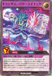 �V�Y�����b�V���f���G�� RD/ORP2-JP058 �g�����U���E�p���[���C�i�b�N�y�E���g�����A�z