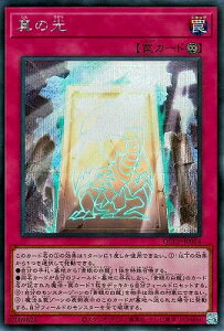 VY 12 QCCP-JP014 ^̌yV[NbgAz