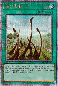 VY 12 QCCP-JP194 ̗_yNH[^[Z`[V[NbgAz