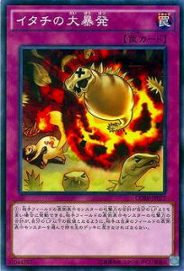 �V�Y�� ��9�� 5�e CORE-JP077�@�C�^�`�̑�\��
