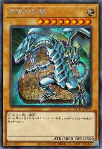 VY 12/QCAC-JP021 ̔ yV[NbgAz