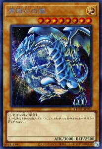 VY 12/CXgႢ1 QCAC-JP021 ̔ yV[NbgAzynz