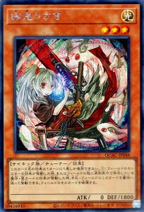 VY 12/CXgႢ1 QCAC-JP048 HS yV[NbgAz