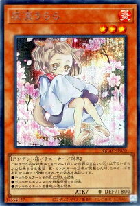 VY 12/CXgႢ1 QCAC-JP050 D yV[NbgAz