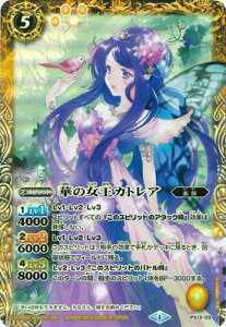 ogXsbc yAeBbgogXszPX13-03 ؂̏JgAy2014z