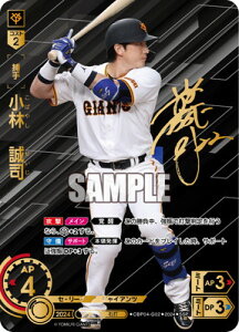 �h���[���I�[�_�[ CBP04-G02 �ySSP�z���с@���i