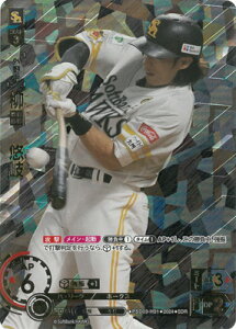 h[I[_[ ySDRzPSD03-H01 c@I