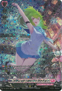 �J�[�h�t�@�C�g!! ���@���K�[�h DZ-LBT01/SR06�@�t�����b�N�E�z�b�p�[ �t�@�i�b�g�@SR