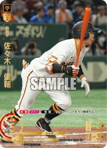 �h���[���I�[�_�[ CBP04-G06 �ySP�z���X�؁@�r�� SP