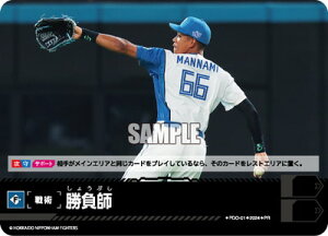 h[I[_[ PDO-01 tykC{nt@C^[Yzy{I茠 2024 v[VpbNz PR