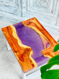 yWe[uz TCh[e[u 60cm×45cm×H30 p[v  {_CjOe[u WA[g Ebh  VR nC R ƃp[eB[Lb` JtF e[u 