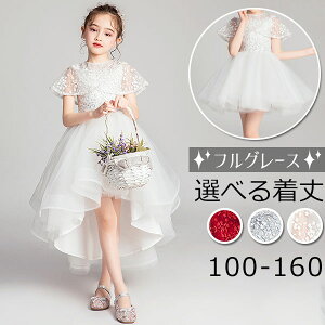 hX q sAm \ sAm\ w s[X ̎q OhX V[ghX V[g G tBbVe[hX  WjA sAm\hX t 