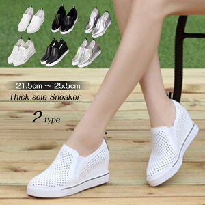 bV Xj[J[ ɂȂ  H Xb| Cq[ [Jbg [t@[ Xj[J[  Cq[ Xb| ʋC Xj[J[ Cq[Xb| 傫TCY [Jb