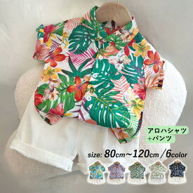 キッズ アロハシャツ ベビー セットアップ 上下セットビッグ 総柄シャツ 赤ちゃん シャツ 子供服 半袖 ハーフパンツ ジュニア カジュアル アメカジ ハワイアン リゾート dc001m3m3g5