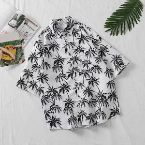 40F AnVc Y fB[X  h Vc {^jJ nCrXJX ][gVc ĕ 傫TCY nC JWA Vc An yAbN Xg[g 3L 4L ba081