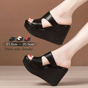 12TCY EFbW\[ T_  EGbW\[ T_ fB[X q[T_ ~[ Xg[ 傫TCY q[11 TCY C  l 񂾂 ubN z