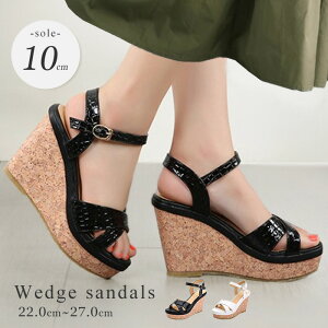 EFbW\[ T_  EGbW\[ T_ fB[X   q[T_ ANXgbv GXph[ W[g V[Y   TCY 傫TC