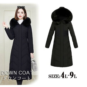 _ER[g O R[g fB[X ~ OR[g AE^[ x`R[g t@[t傫TCY4L~9L  _EWPbg ̓ v[g JbRCC WPbg _E Vv