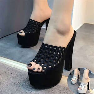 EFbW\[ T_ q[ 10Z` r Lo T_ q[ hJ T_ p[eB[T_ 15cmq[  ~[ T_ nCq[ EFbW rT_