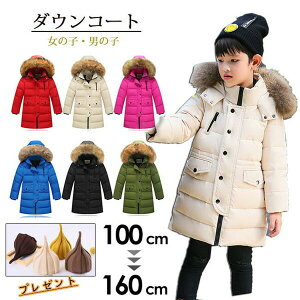 _ER[g̎q j̎q _EWPbg q O N[t@[t t[h@ʊw LbY h H~ WjA AE^[ ~ ʉ AEghA 6F 100cm 110cm 120cm 130cm 140cm 150cm 160cm