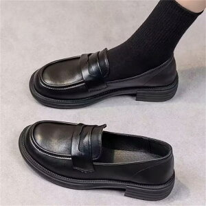 [t@[ fB[X tbgV[Y vC ₷ ₷  ʋ ʊw  w Ǝ V[Y