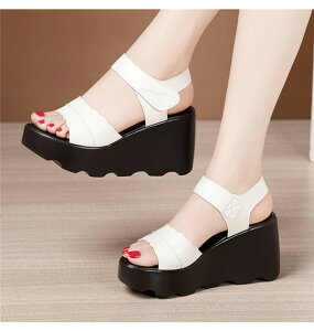 EFbW\[ T_  EGbW\[ T_ fB[X }WbNe[v q[T_ ANXgbv 傫TCY TCY 8cm Sn悢   