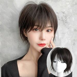 EBbO tEBbO V[gEBbO }jbVtV[g V[g R V[gwA j {[CbV ӂ l  J[   _[NuE ×p R Ab