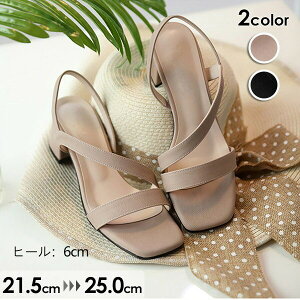 T_ Ƃ 2J[ fB[X 傫TCY nCq[ Xgbv q[6cm  Sn悢 r TCY C  l ubN sN ei006jcjcg5