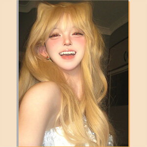 tEBbO fB[X ӂO O h  ςO RXv  RX`[  lp Cxg w  w|   ϑ nEB S[