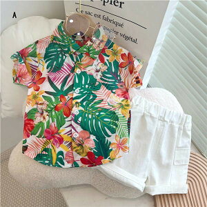 LbY AnVc xr[ ZbgAbv ㉺ZbgrbO Vc Ԃ Vc q  n[tpc WjA JWA AJW nCA ][g dc001m3m3g5