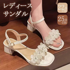 XgbvT_ t[ ؚT_ fB[X [q[ q[ ׃Xgbv ɂȂ ₷  EhgD i ꂢ  ItzCg ʋ ItBX 