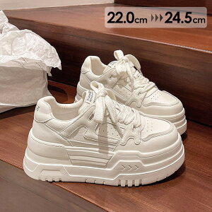 22.0-24.5 Xj[J[  Cq[ EFbWq[ C\[ X|[eB V[Y fB[X C r  Xj[J[ 킢   JWA ₷ ɂ